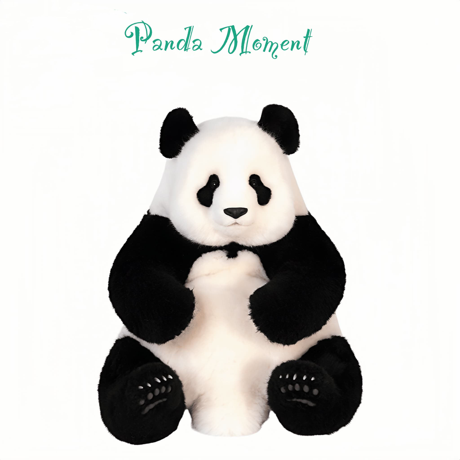 Plush Toys