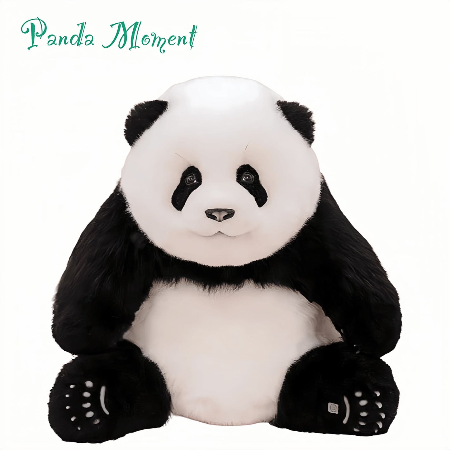 Meng Lan Panda – The Third Prince of the Panda Kingdom 🐼👑