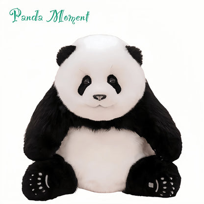 Meng Lan Panda – The Third Prince of the Panda Kingdom 🐼👑