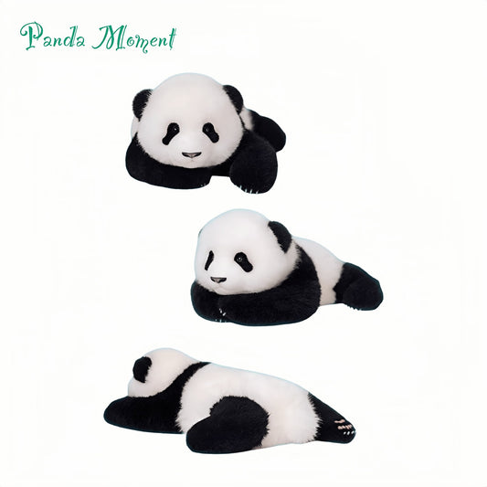 Meng Lan Panda Plush – The Prince of the Panda World 🐼👑