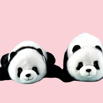Panda Twin Sisters – Adorable Cuddly Bears for Ultimate Comfort 🐼💕