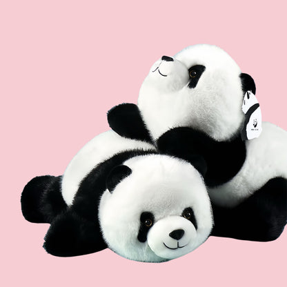 Panda Twin Sisters – Adorable Cuddly Bears for Ultimate Comfort 🐼💕