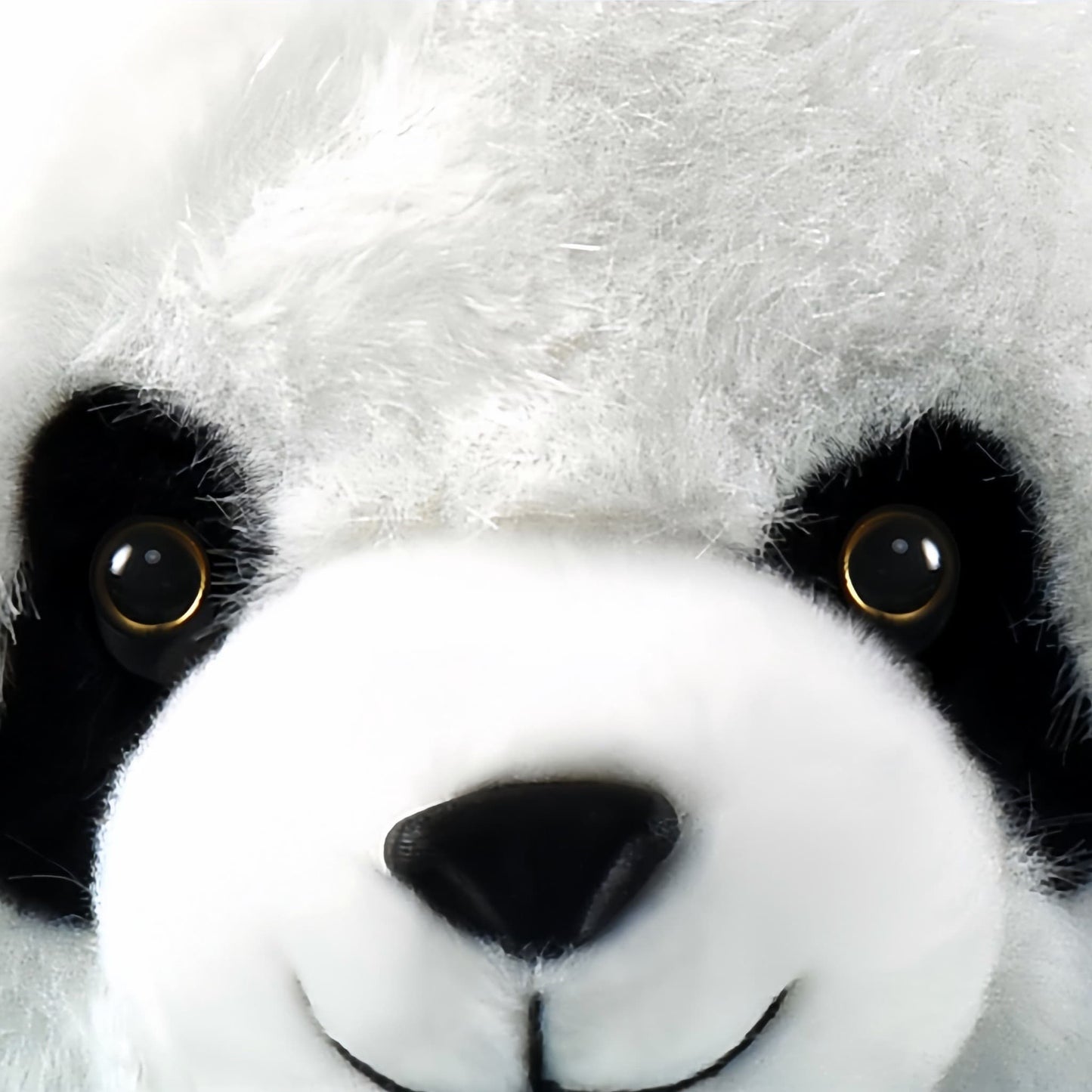 Panda Twin Sisters – Adorable Cuddly Bears for Ultimate Comfort 🐼💕
