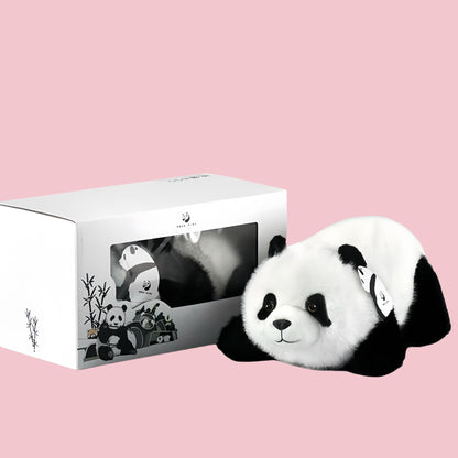 Panda Twin Sisters – Adorable Cuddly Bears for Ultimate Comfort 🐼💕