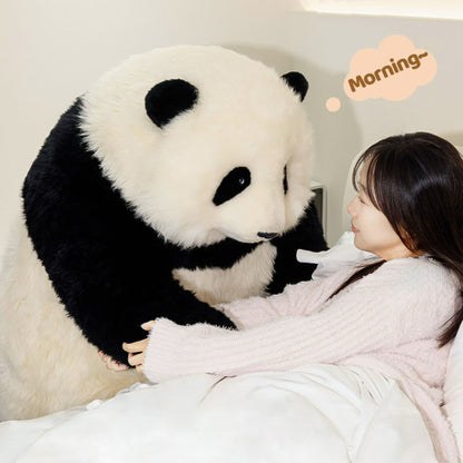 Hua Hua 限定版パンダ – 手作り、リアル、そして象徴的 🐼✨