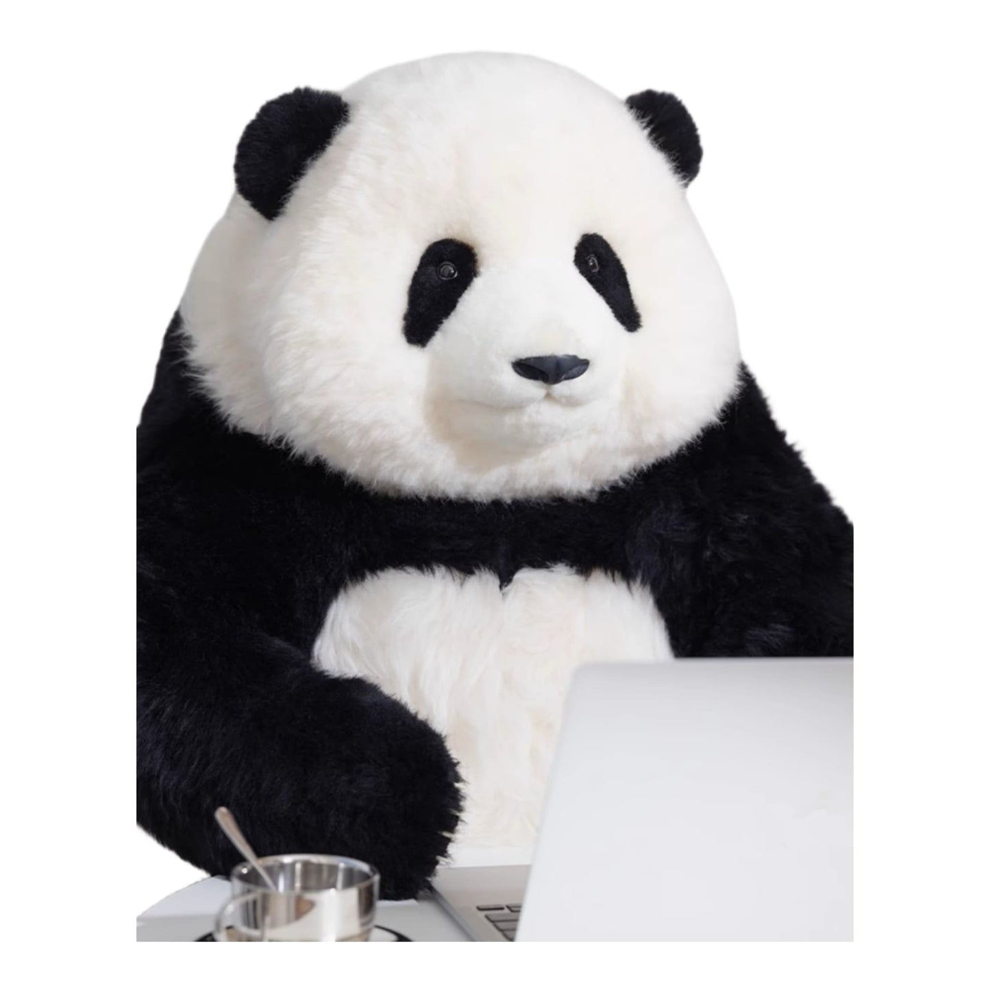 Hua Hua 限定版パンダ – 手作り、リアル、そして象徴的 🐼✨