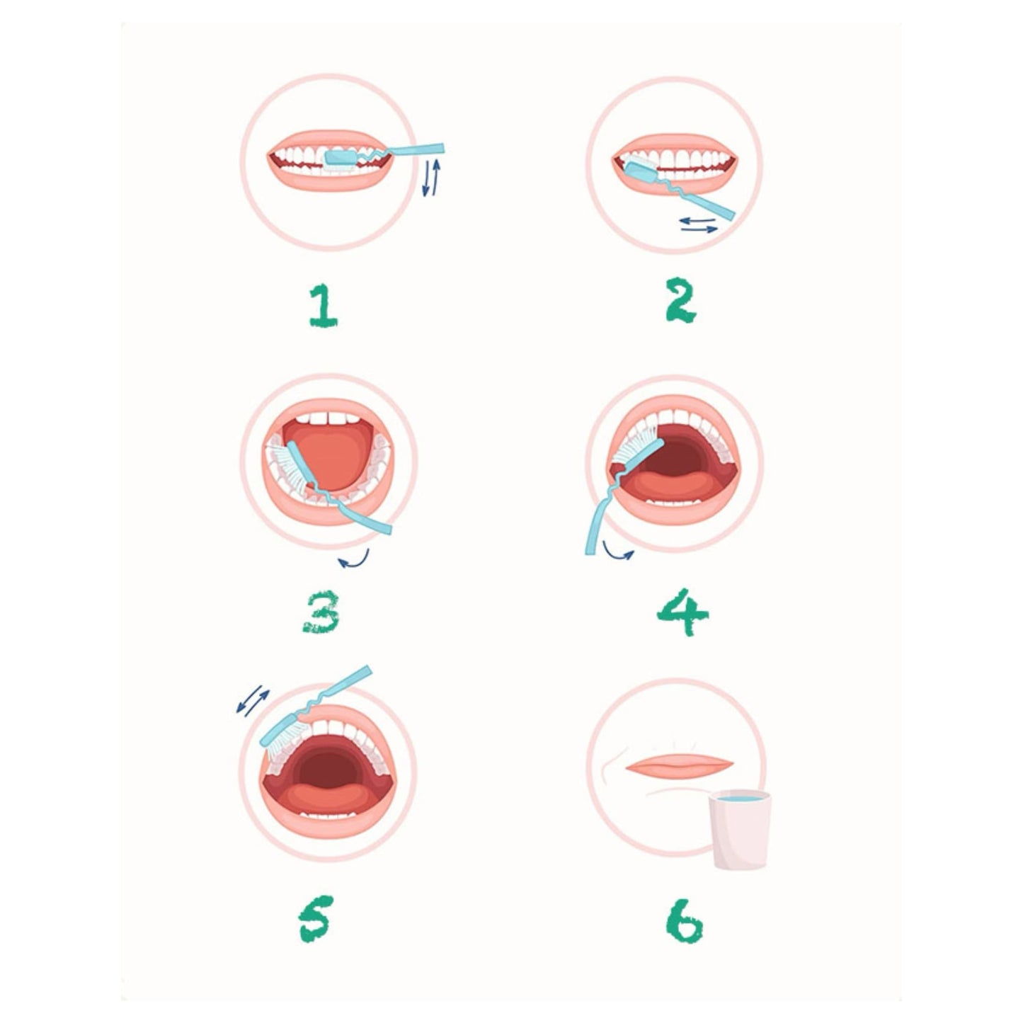 Panda Care Toothbrush – A Perfect Smile at Every Stage 🐼🦷