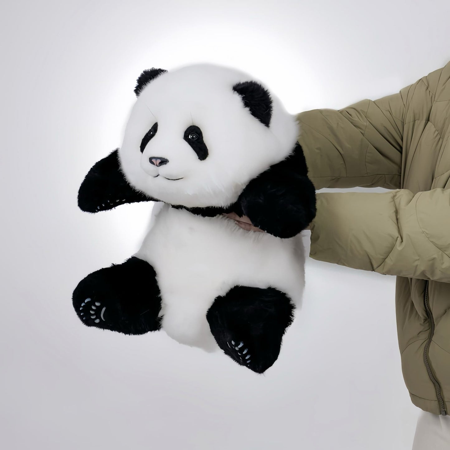 Meng Lan Panda – The Third Prince of the Panda Kingdom 🐼👑