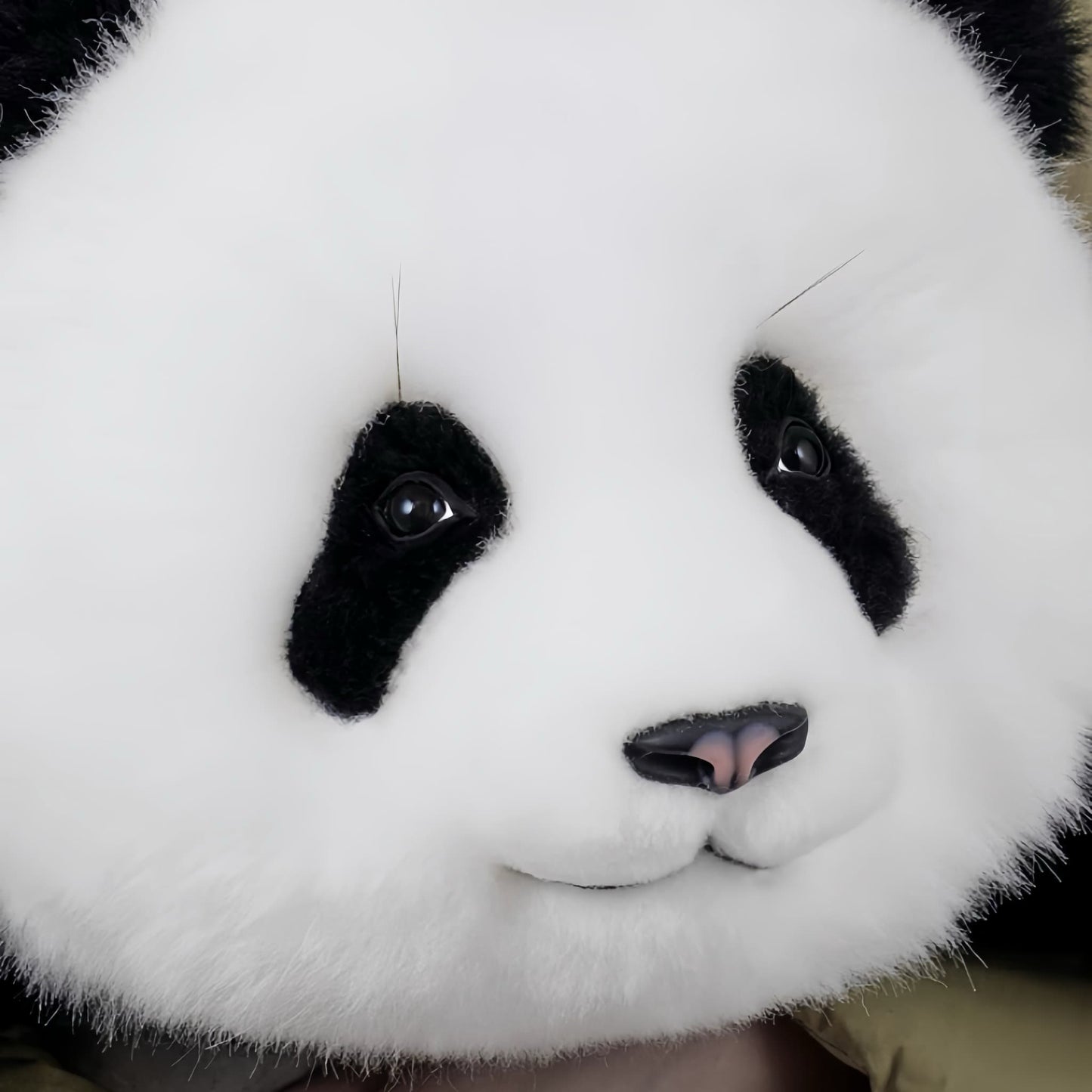 Meng Lan Panda – The Third Prince of the Panda Kingdom 🐼👑