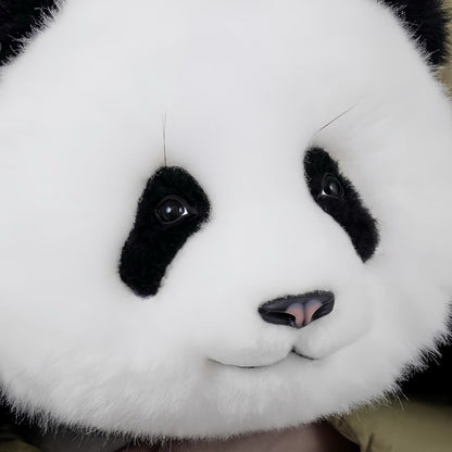 Meng Lan Panda – The Third Prince of the Panda Kingdom 🐼👑
