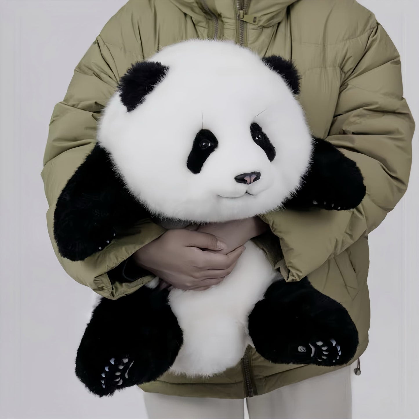 Meng Lan Panda – The Third Prince of the Panda Kingdom 🐼👑