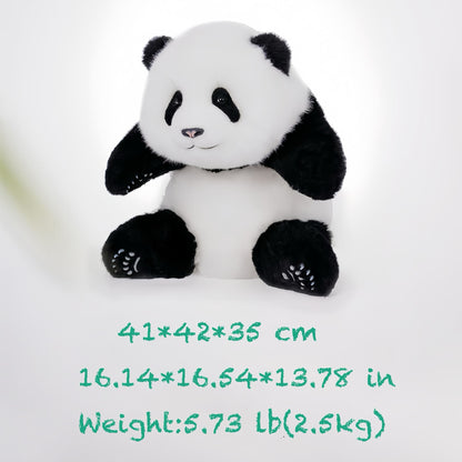 Meng Lan Panda – The Third Prince of the Panda Kingdom 🐼👑